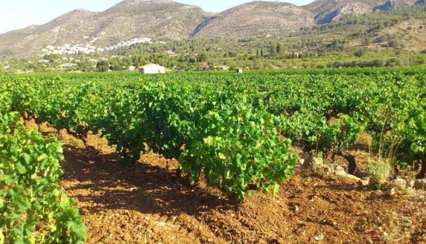 Viajar por Alicante